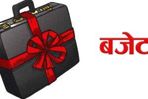 बजेट कार्यान्वयनको प्रभावकारी योजना बनाउन मुख्यसचिवको निर्देशन