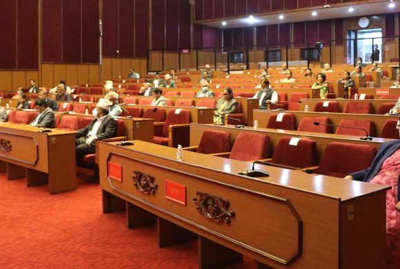 सङ्घीय संसद्का दुवै सदनबाट बजेट पारित