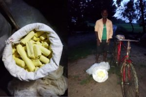 अवैध रुपले ल्याएको गन्धकसहित एक जना पक्राउ