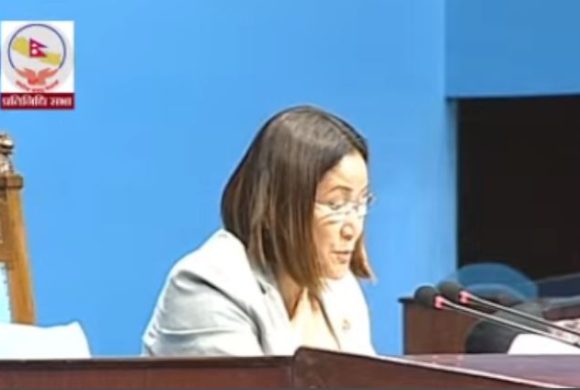 प्रतिनिधि सभाबाट ‘आर्थिक विधेयक २०८०’ बहुमतले पारित