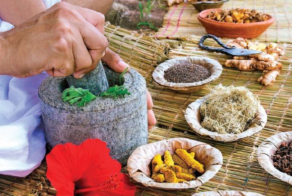 झापामा आयुर्वेदिक उपचार सेवा प्रभावकारी