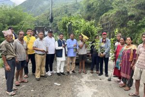 ओखलढुङ्गाका केही स्थानमा ३ हजार भन्दा बढी बिरुवा वितरण