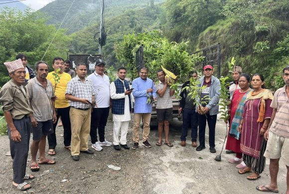ओखलढुङ्गाका केही स्थानमा ३ हजार भन्दा बढी बिरुवा वितरण