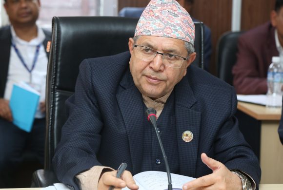 विचाराधीन विधेयकलाई प्रभावकारी रुपमा अघि बढाउन सभामुखद्वारा निर्देशन