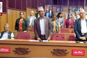 एमालेले राष्ट्रिय सभाको बैठक पनि चल्न नदिने