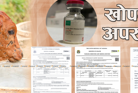 Exclusive खुलाशा, ‘महामारीमा महाअपराध’ : लम्पी स्किन रोग विरुद्धको खोप नै नक्कली  !