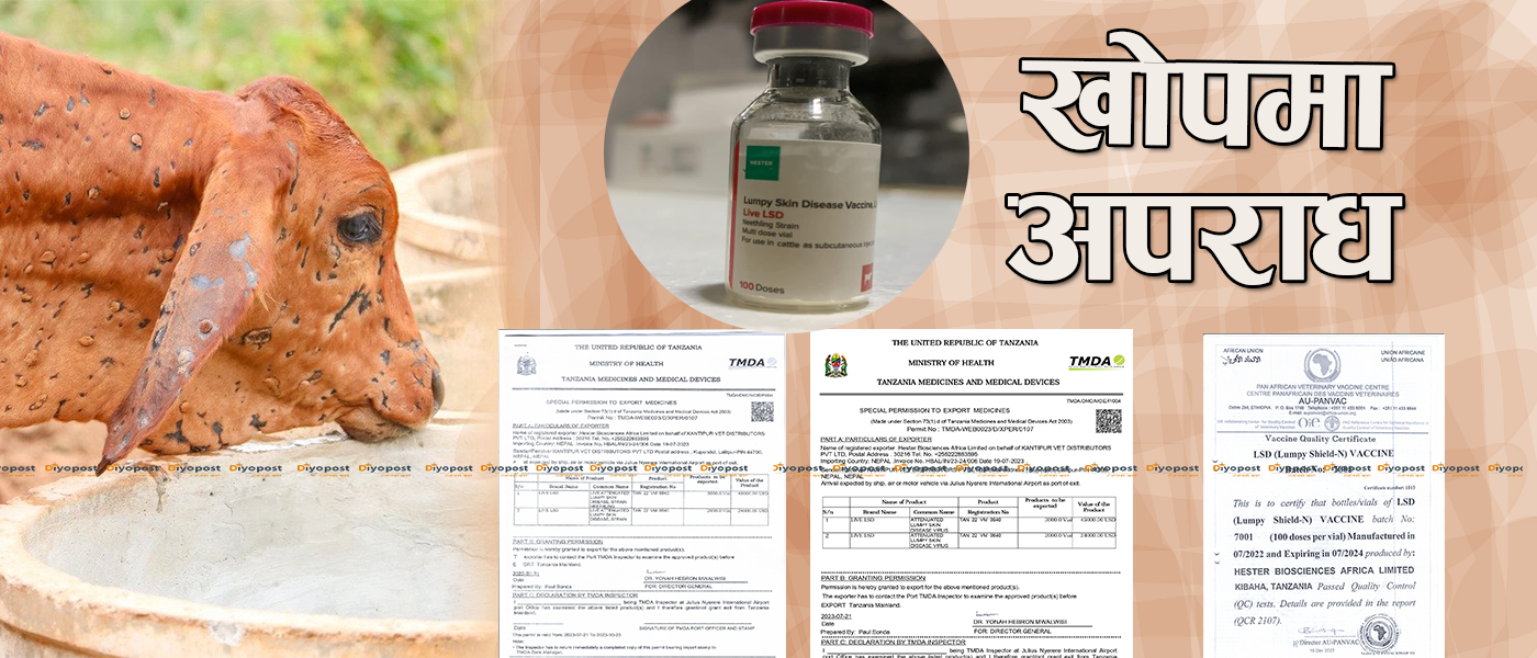 Exclusive खुलाशा, ‘महामारीमा महाअपराध’ : लम्पी स्किन रोग विरुद्धको खोप नै नक्कली  !