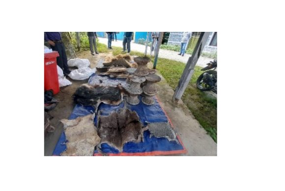 वन्यजन्तुको आखेटोपहार चितवन पठाउने तयारी