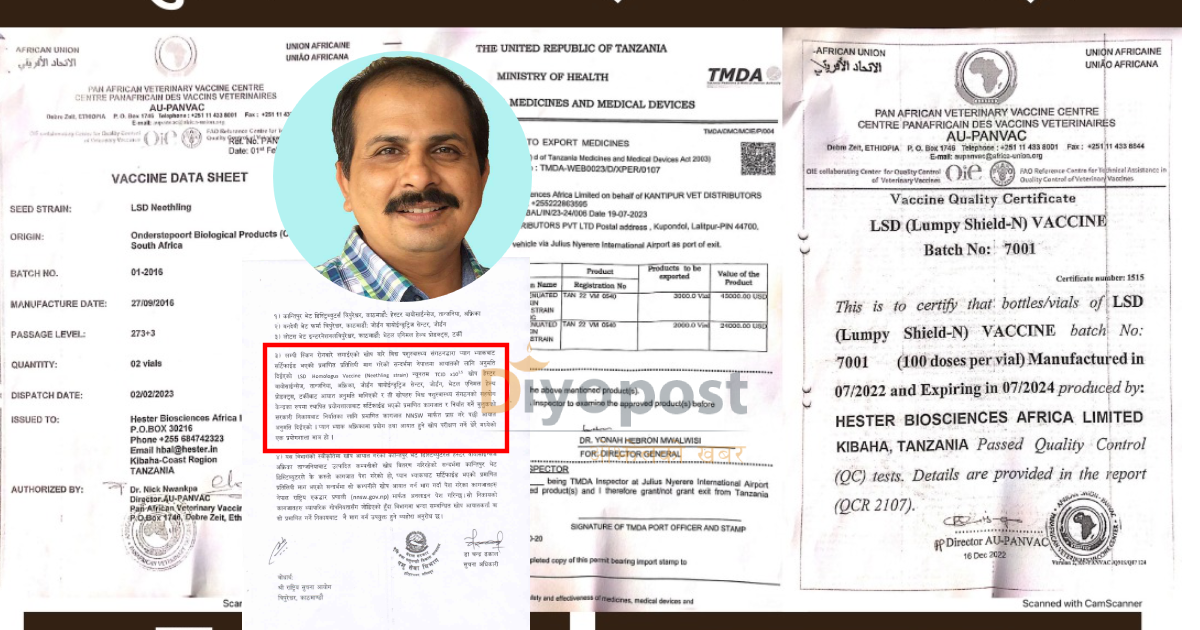 लम्पी स्किन खोप नक्कली भएको थप प्रमाण फेला : उत्पादक कम्पनिद्वारा पुष्टि !