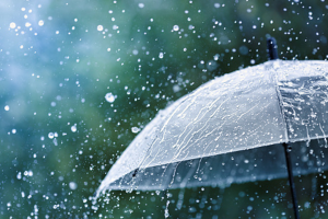 हल्का वर्षाको सम्भावना