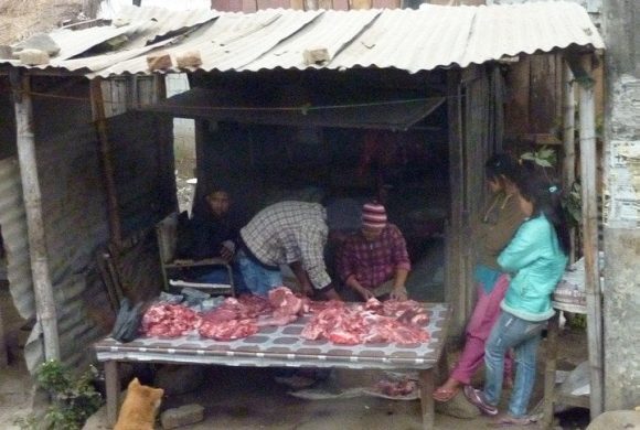 मासु बजार: न अनुगमन न मापदण्ड