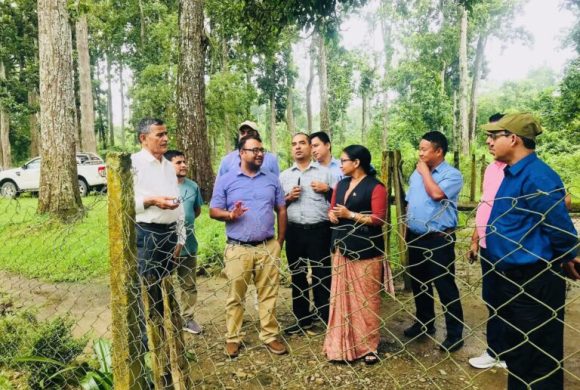 निकुञ्जमा सडक निर्माण गर्न ‘डिपिआर’ र ‘इआइए’