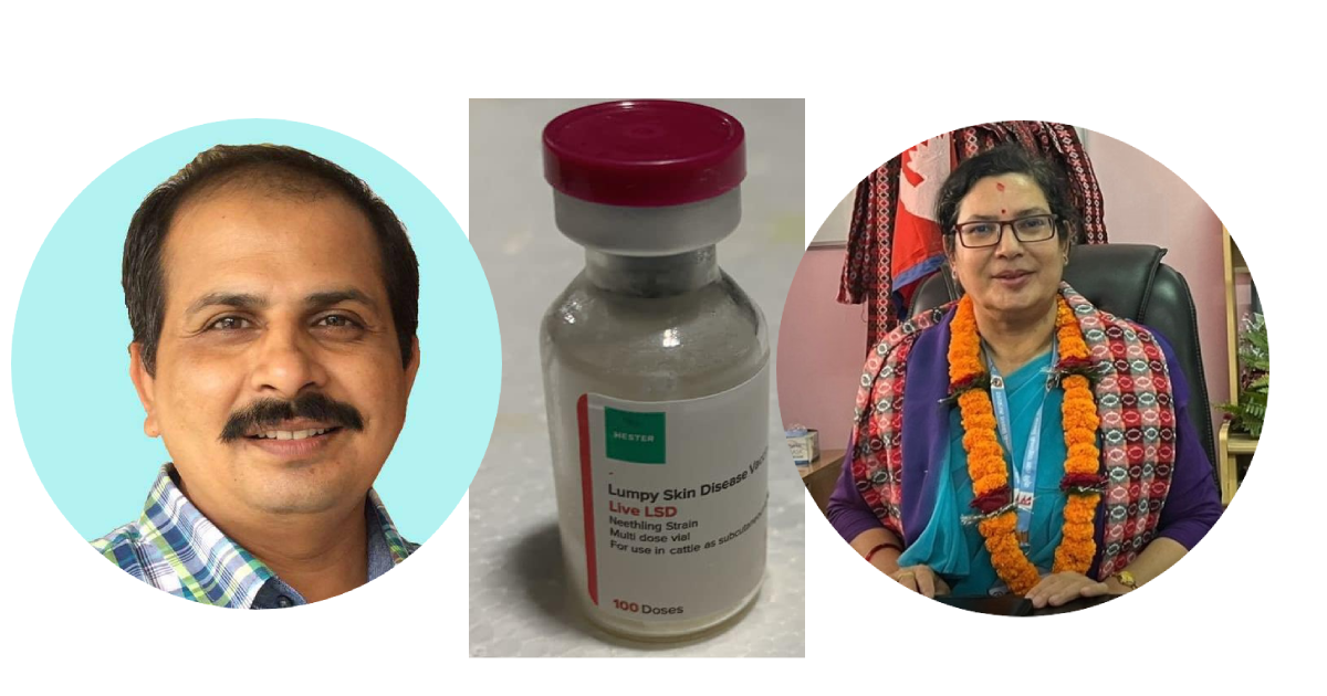 लम्पी स्किन खोप किर्ते काण्डका ‘योजनाकार’ बडाललाई विभागकै उच्च अधिकारीको संरक्षण !