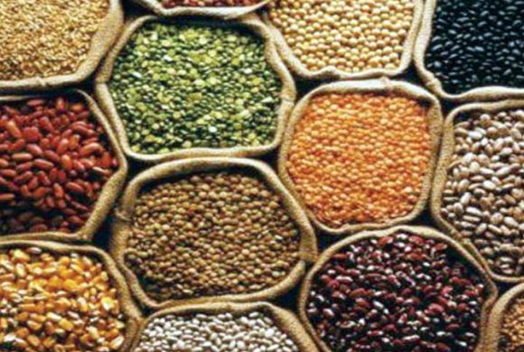 क्षयरोग सङ्क्रमितलाई  खाद्यान्न वितरण