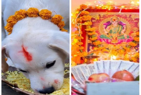 आज एकै दिन धनधान्यकी देवी लक्ष्मीपूजा र कुकुरतिहार