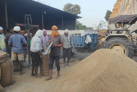 खाद्यले समयमै धान खरिद गरेपछि किसान खुसी