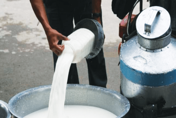 दुग्ध उत्पादक संस्थाले दूध नउठाउँदा बिक्रीमा समस्या