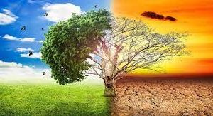 नेपालले पर्वत र जलवायुसम्बन्धी अन्तर्राष्ट्रिय संवाद गर्दै