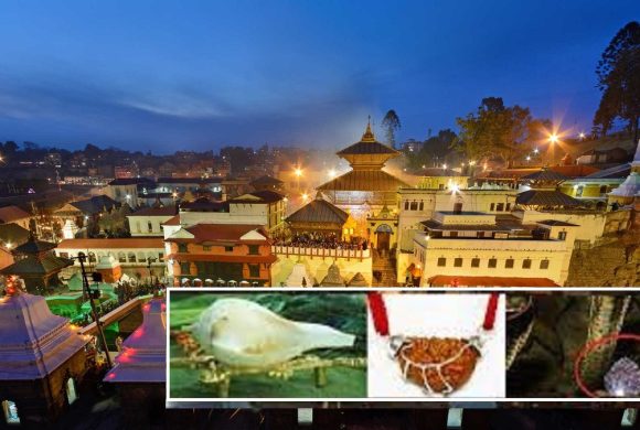 पशुपतिनाथमा नागमणि, एकमुखे रुद्राक्ष र दाहिने शङ्ख प्रदर्शन