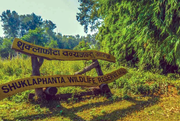 शुक्लाफाँटा राष्ट्रिय निकुञ्जमा  दुर्लभ चरा चिनाउन  ‘होर्डिङ बोर्ड’