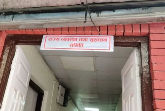 संवैधानिक परिषद् विधेयकमाथि संशोधनकर्ताको सुझाव