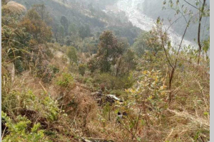 हेलम्बुमा जीप  दुर्घटनाः दुई भुटानी नागरिकको घटनास्थलमै मृत्यु, चार घाइते