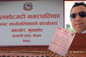 बेलकोटगढी अडिओ प्रकरण : काँग्रेसले गर्‍यो उपप्रमुख शिवप्रसाद दाहालको बचाउ