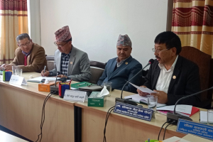 ‘समितिका निर्देशन कार्यान्वयनको अवस्थाबारे अनुगमन आवश्यक’