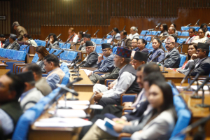 आकस्मिक समय : सडक दुर्घटना न्यूनीकरण र किसानका समस्याबारे ध्यानाकर्षण