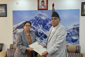 राष्ट्रियसभाका उपाध्यक्ष अर्यालले दिइन् राजीनामा
