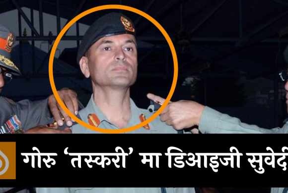 सशस्त्रको डिआइजी सुवेदीकै सेटिङमा गोरु ‘तस्करी’ !