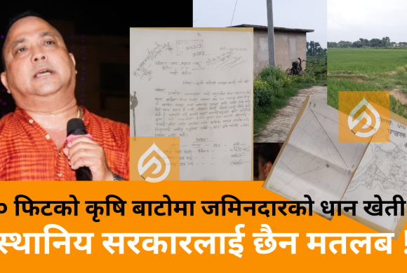 ८० फिटको बाटोमा जमिनदारको धान खेती, वीरगंज महानगरको रहस्यमयी मौनता ! ( भिडियाे सहित )