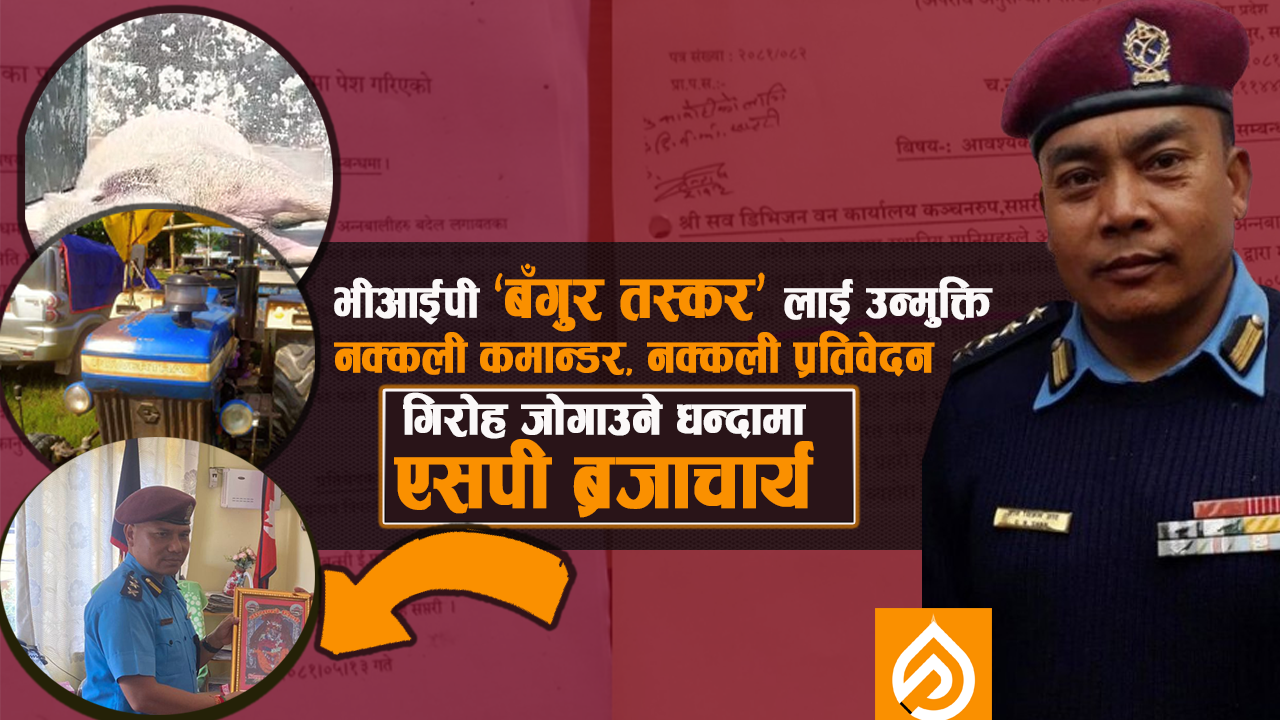 ‘बँदेल चोर’ पूर्व डीआईजीसहित १० जनालाई रातारात उन्मुक्ति, एसपी ब्रजाचार्यको सेटिङ !