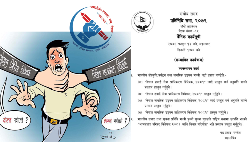 मिडिया काउन्सिल विधेयक संसदमा आज पेश, सात गम्भीर समस्या सच्याउन माग