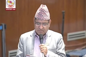 उमेर हुनजेल लोकसेवा लड्न दिऔँ : सांसद ज्वाला