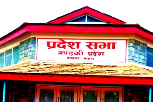 गण्डकी प्रदेशसभाबाट गाँजाखेती नियमनसम्बन्धी विधेयक सर्वसम्मत पारित