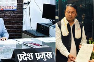 ‘अस्वस्थ’ भन्दै काठमाडौं पुगेकी मधेश प्रदेशकी प्रमुखले होटलमै नियुक्त गरिन नयाँ मुख्यमन्त्री