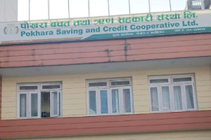 पोखरा सहकारीमा ८९ करोड हिनामिना, अध्यक्षसहित ७ जना पक्राउ