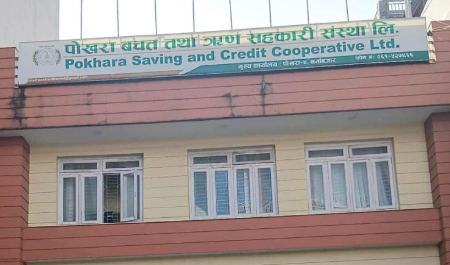 पोखरा सहकारीमा ८९ करोड हिनामिना, अध्यक्षसहित ७ जना पक्राउ
