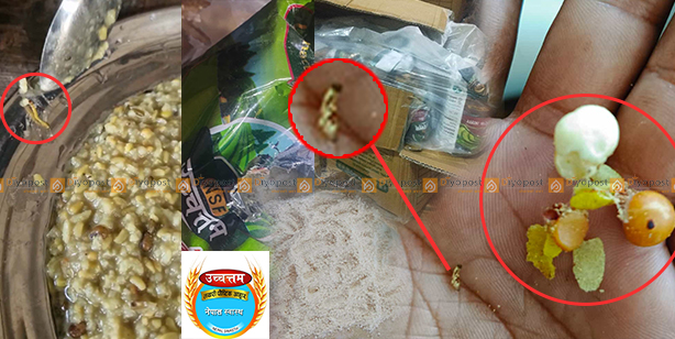 बाल-बालिकाको स्वास्थ्यमाथि खेलवाड : ‘नेपाल स्वास्थ्य फूड’ले खुवाउँदैछ विद्यार्थीहरुलाई किरा परेको खाजा