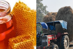 विदेशी मह ‘आयात’ खुला र पराल ‘ढुवानी’ बन्दको निर्णयबिरुद्ध किसानहरू आन्दोलित