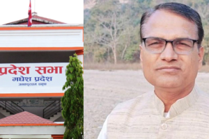 मधेस प्रदेशसभाको सभामुखमा रामअशिष यादव निर्वाचित