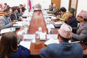 राजनीतिमा लाग्ने मन्त्रीलाई पद छाड्न प्रधानमन्त्री कार्कीको निर्देशन