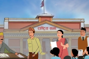 राष्ट्रिय सभाका लागि सातै प्रदेशमा मतदान सुरु