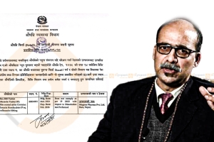 म्याग्नस फर्माले उत्पादन गरेको ‘लेभोफ्लक्स–५००’औषधि गुणस्तरहीन,  विभागको लापरबाही 