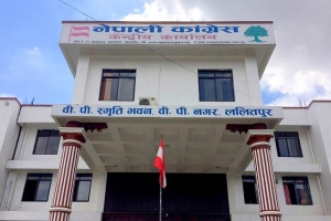 नेपाली कांग्रेसले आयोगमा पठायो २० जना समानुपातिक सांसदको नाम