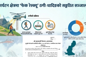 ‘फेक रेस्क्यू’ का ३३ प्रतिवादीमध्ये १२ जना धादिङका, नीलकण्ठ र गंगाजमुनाका मात्रै १० जना (विवरणसहित)