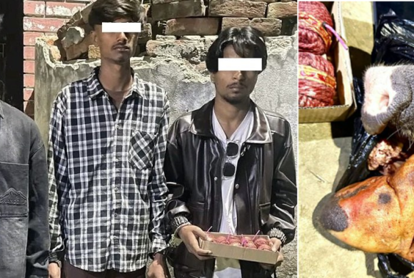 पर्सामा सुतली बम र सुँगुरको टाउकोसहित तीन जना पक्राउ