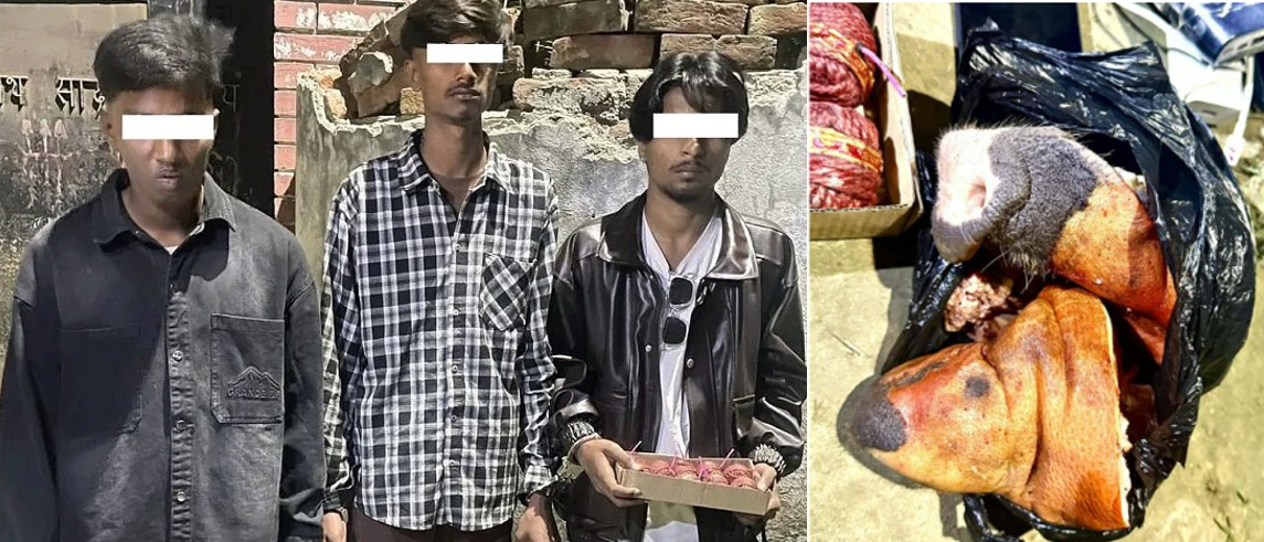 पर्सामा सुतली बम र सुँगुरको टाउकोसहित तीन जना पक्राउ