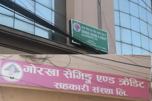गोरखा सेभिङ एन्ड क्रेडिटका अध्यक्षसहित ४ जना पक्राउ,  ४ अर्ब बढी रकम हिनामिनाको आरोप
